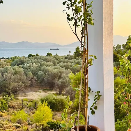 Casa vacanze Mykonaki Politiká